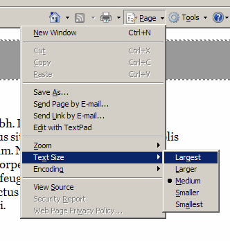 textsize in internet explorer