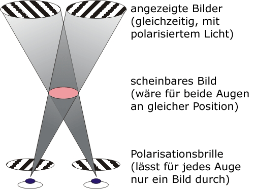 passive Stereoskopie durch Polarisation